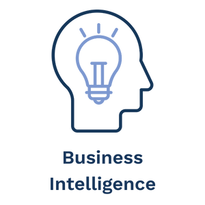 Business Intelligence